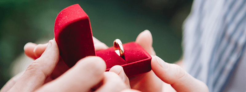 『日本結婚相談所連盟 IBJ』の注目ポイント